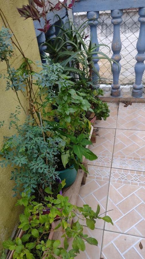 Hospedagem Domiciliar Alternativa Balneário Camboriú Eksteriør bilde